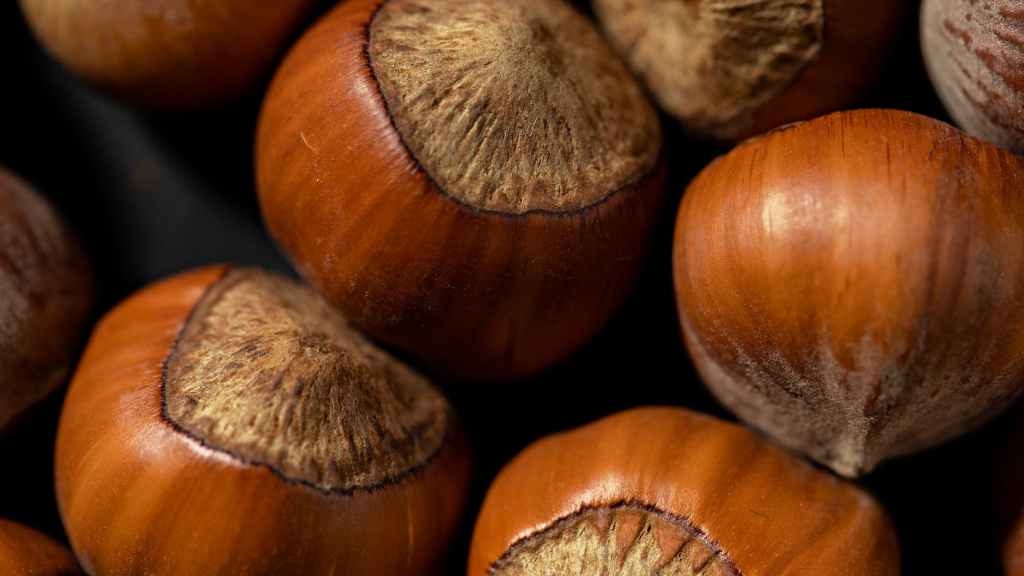 chestnuts in close up photography